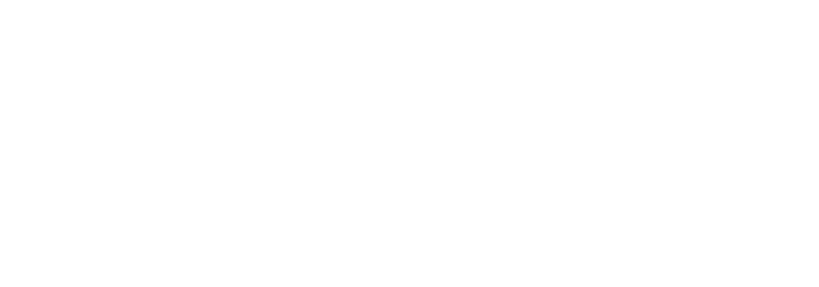 logo vanity fair bianco sfondo trasparente