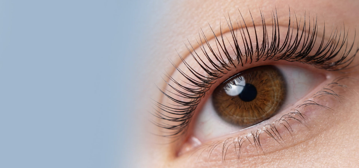 primo piano di un occhio marrone con ciglia post laminazione