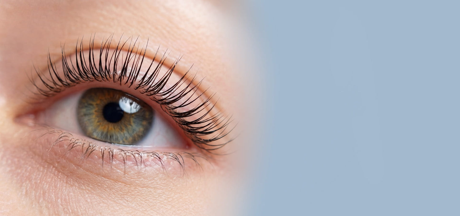 primo piano di un occhio con ciglia laminate con laminazione coreana