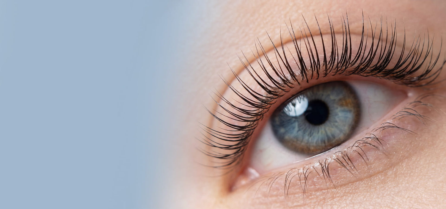 primo piano di un occhio con ciglia laminate